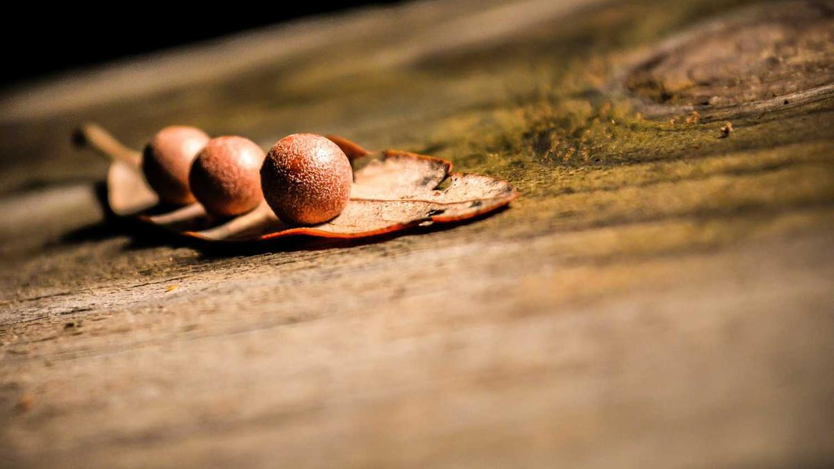 公元前154年,汉景帝封谁为中山靖王