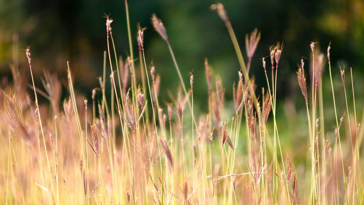 南昌十大最好玩的景点,南昌旅游攻略必去景点_南昌有什么好玩的景点_南 ...