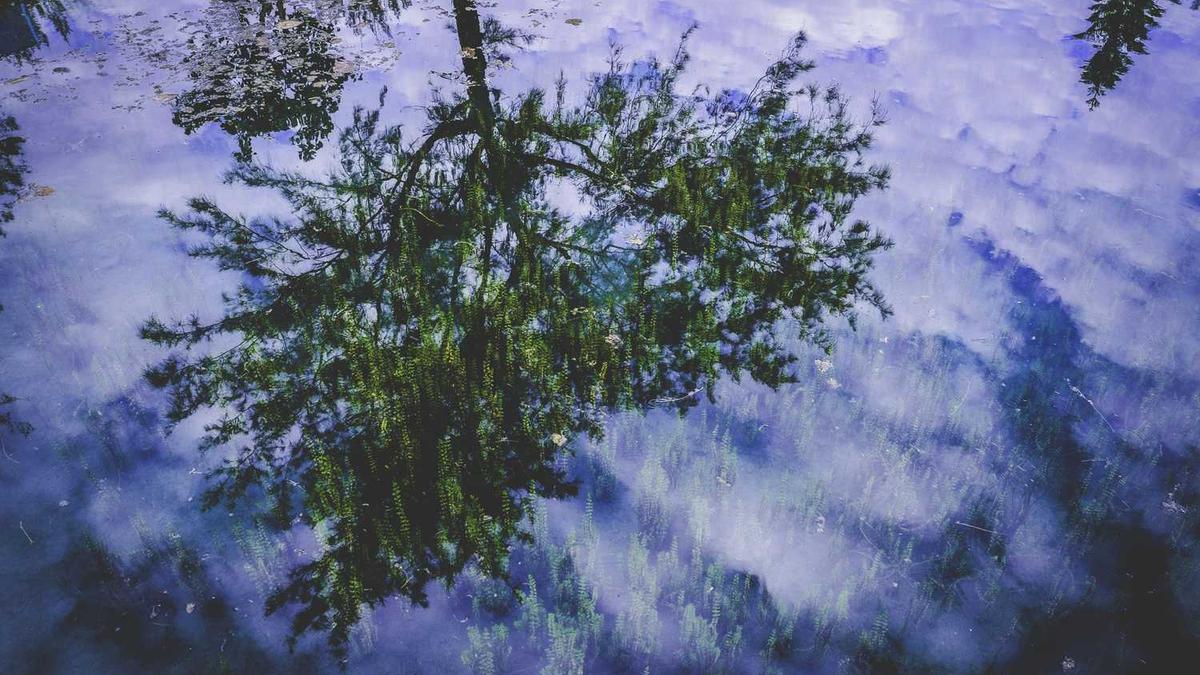 新能源小车五万以内哪款好