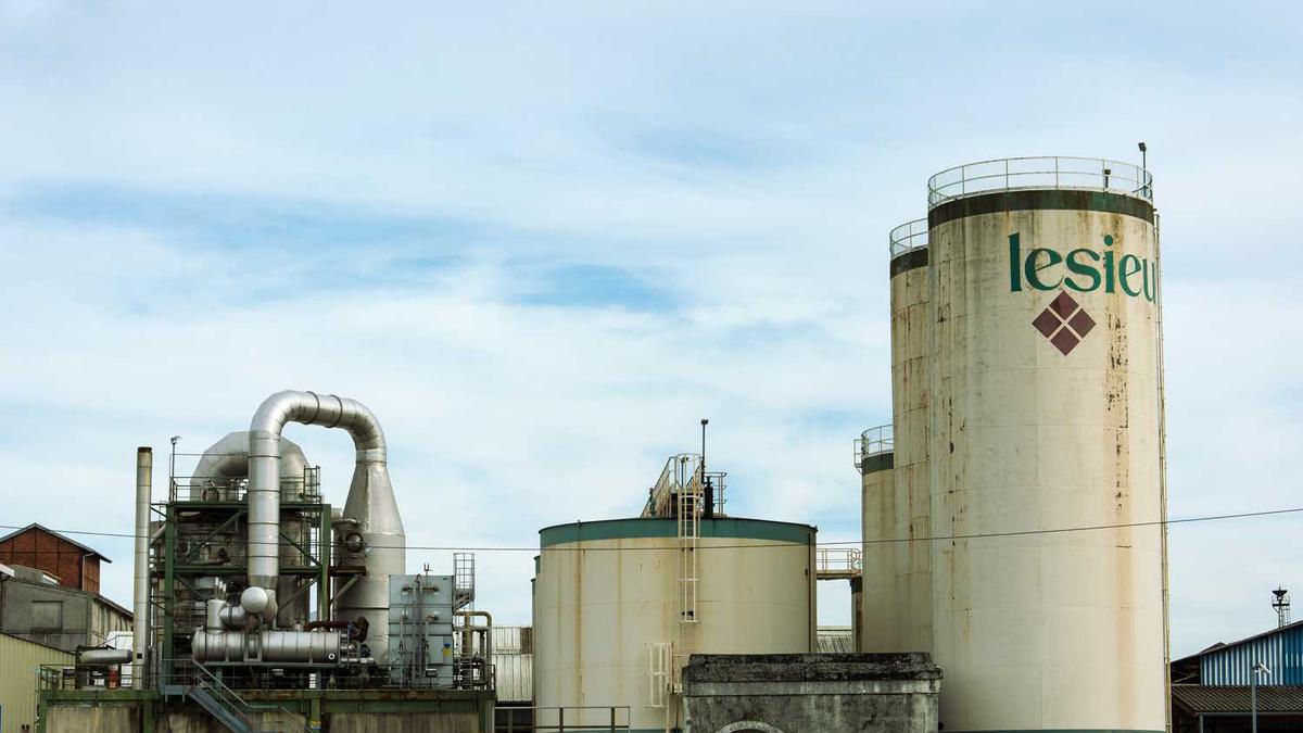 绍兴的地形和气候类型各是怎样的?