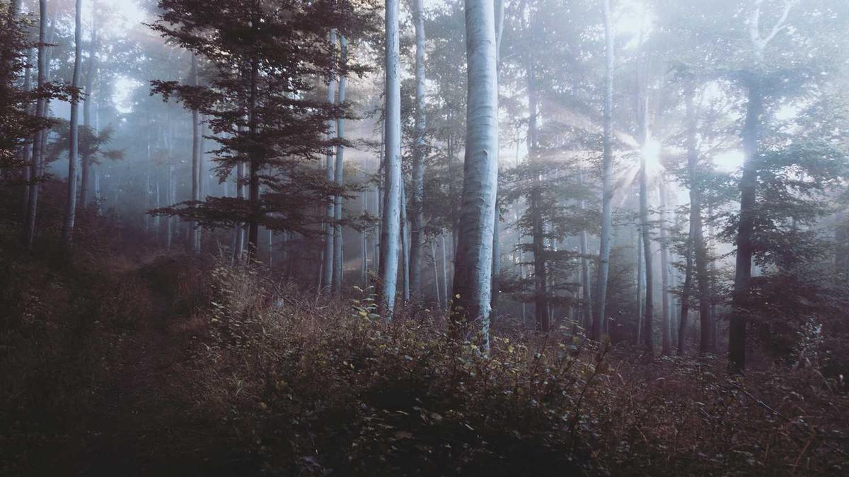 宁夏·银川马拉松赛已建立赛事熔断机制,你觉得有必要建立赛事熔断机制吗...