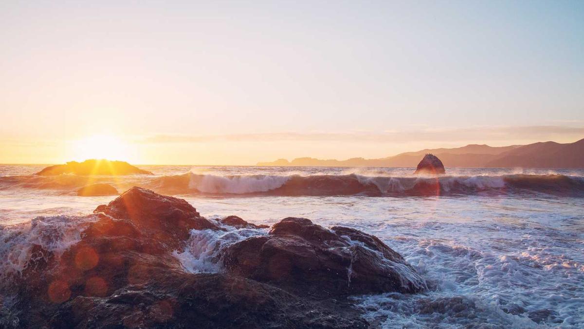 浙江卫视有哪几个主持人?