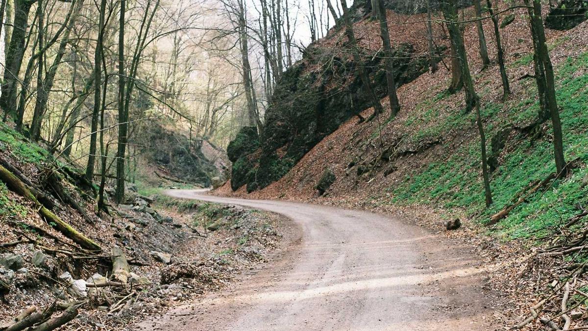 龙井村一日旅游攻略