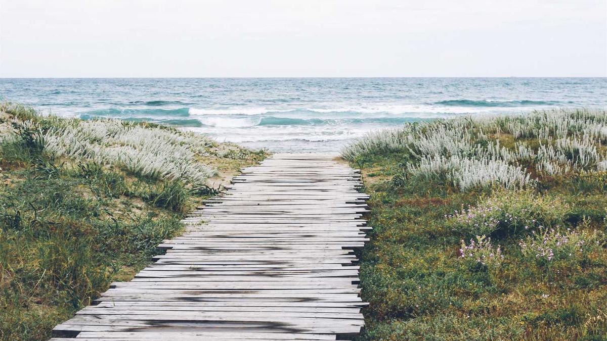 河南一家机构火灾18人死亡,当地校外培训机构全部被关停整顿