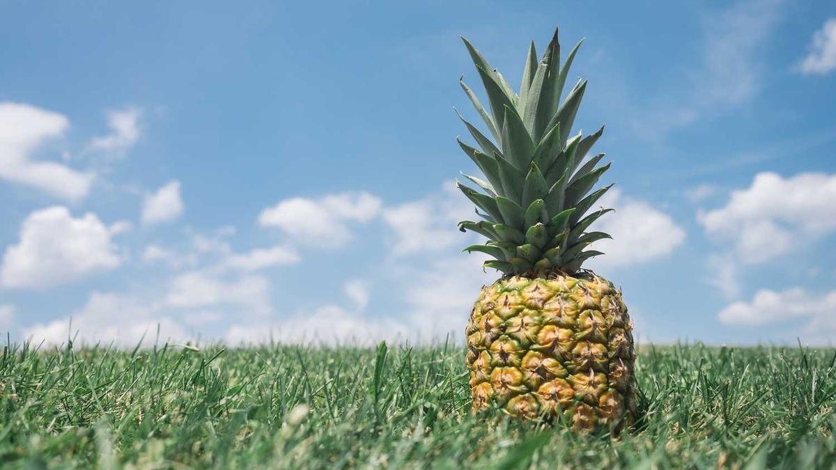 非文化遗产有哪些?