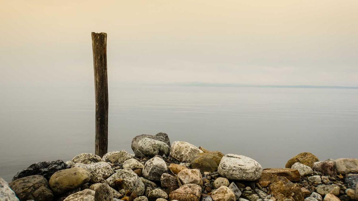 为什么女骑手越来越吃香