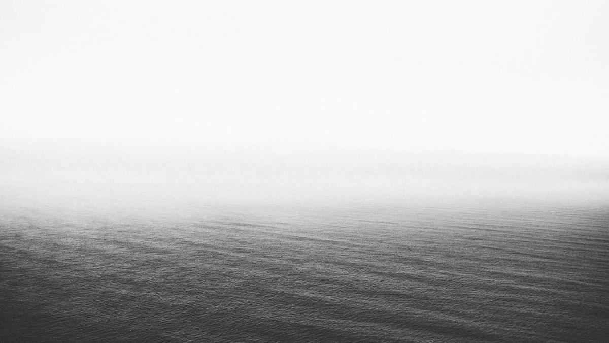 市长杯市长杯传统赛事