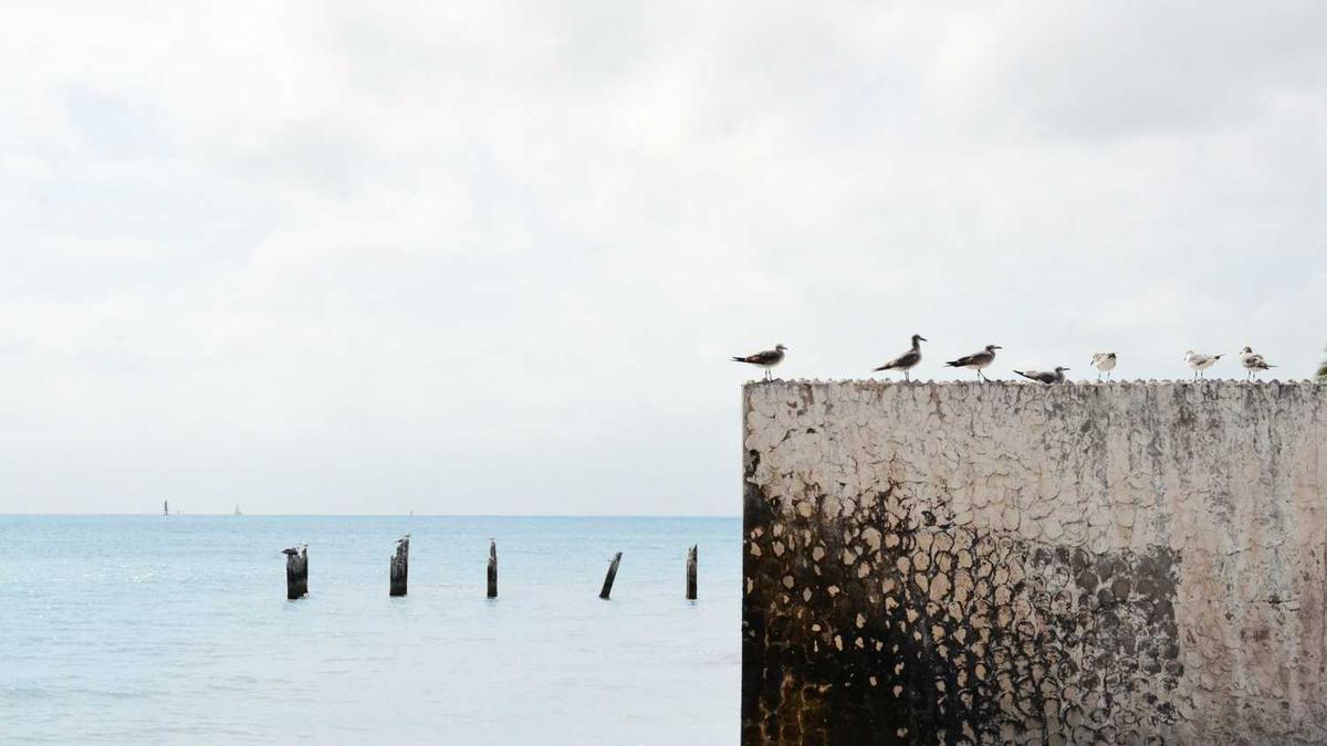 山东省济宁市嘉祥天气预报,济宁嘉祥天气预报15天