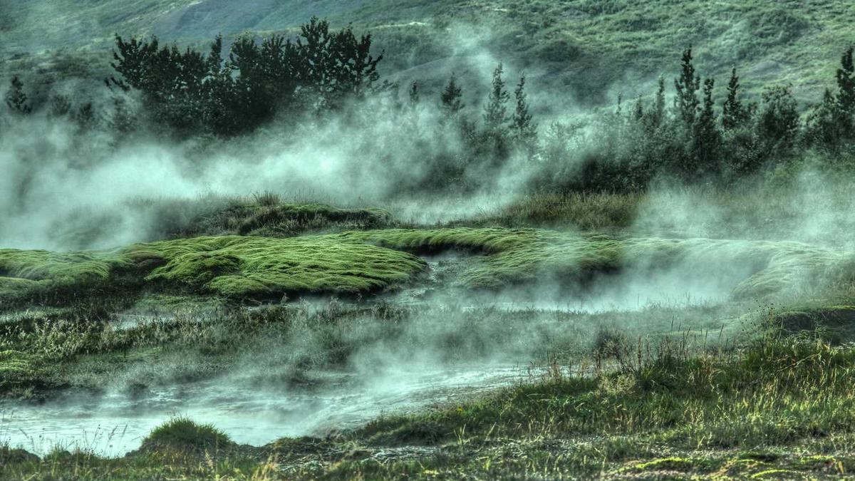 广东江门是在灭蚊还是整人