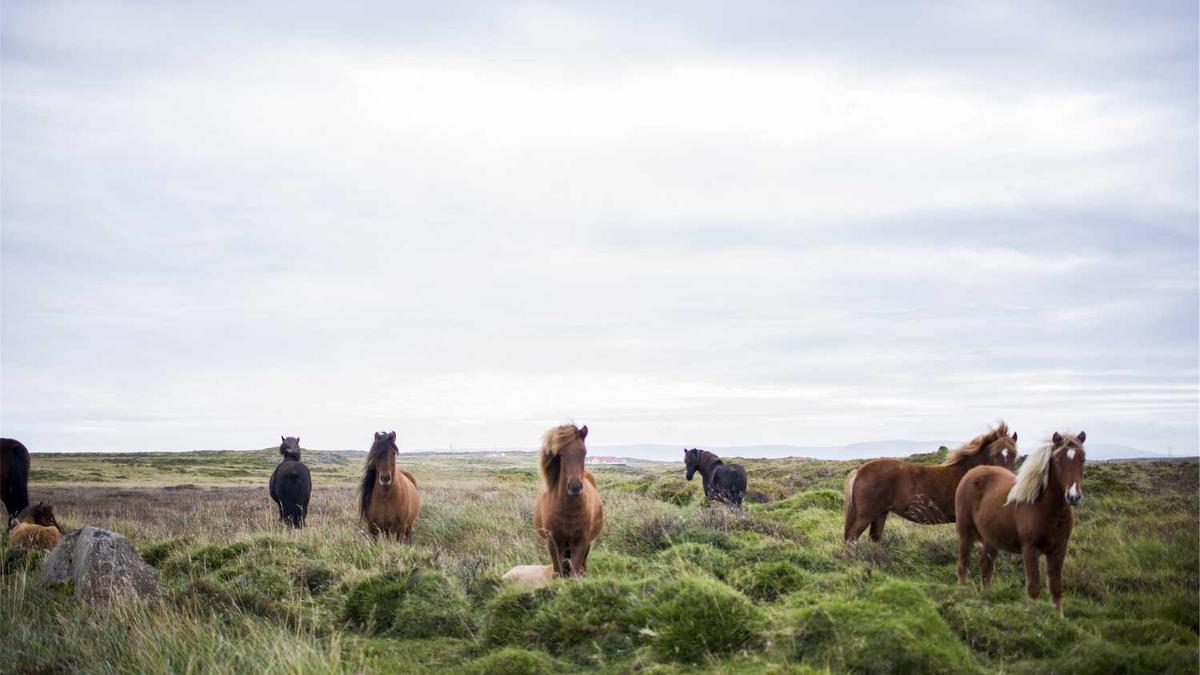 湘超永州为什么火了
