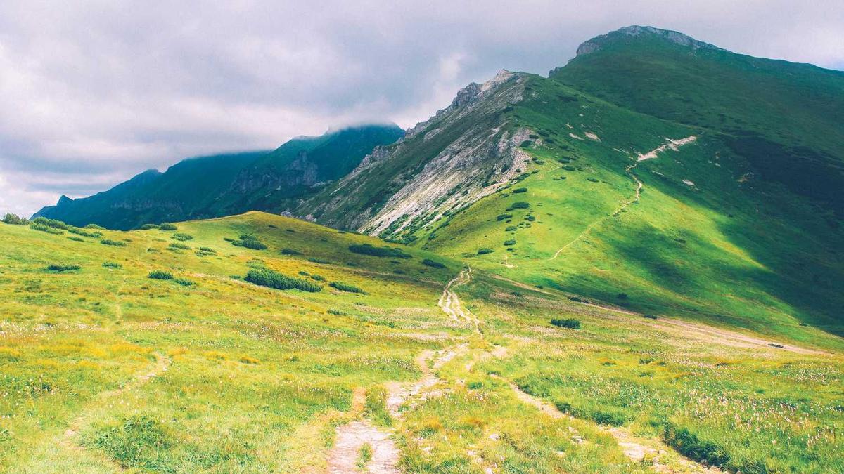 最低温降至 0℃ ?!今天出门带伞!还有一个重要提醒@青岛人