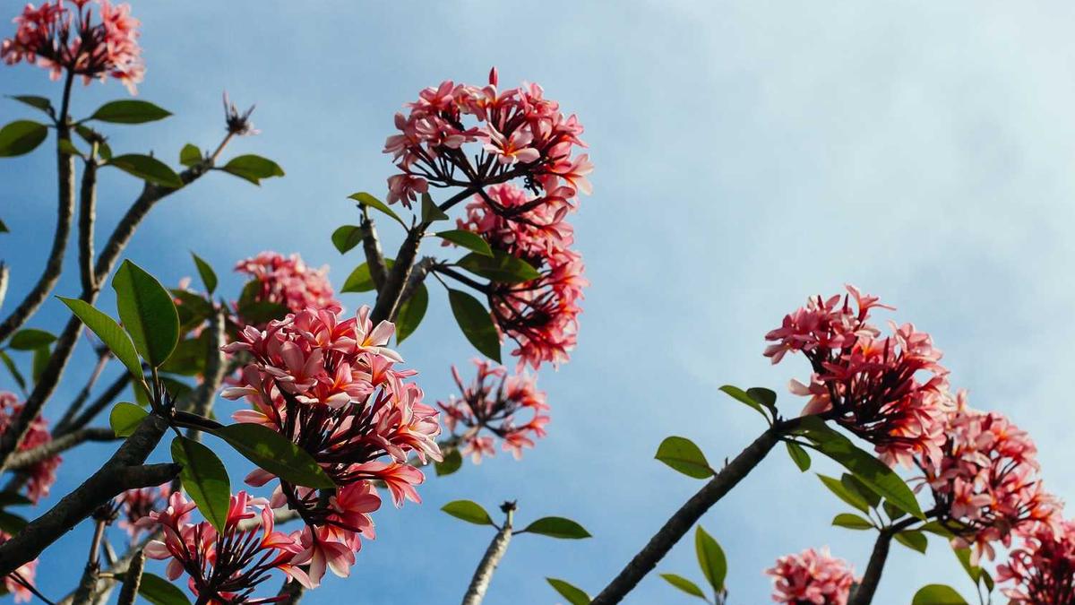 魔都哪里的spa会所好?