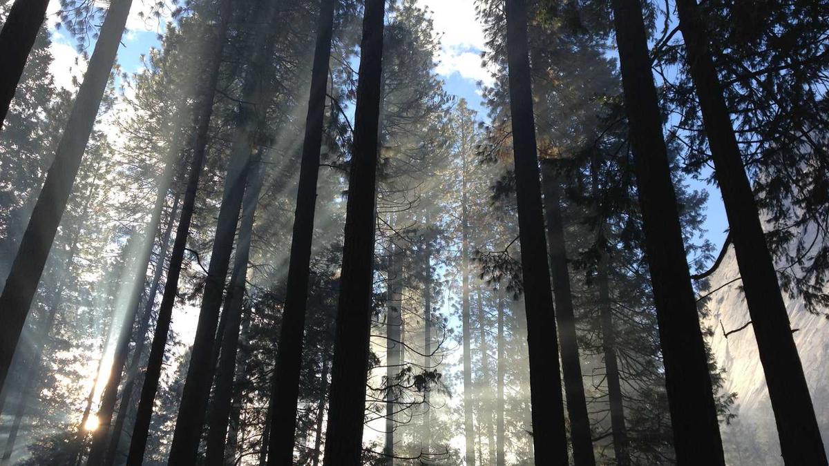 太和镇2024-02-26天气预报(湖北,鄂州,梁子湖)