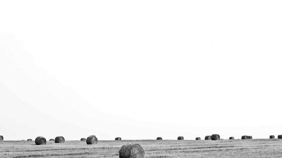 池州社保交满15年退休能领多少钱