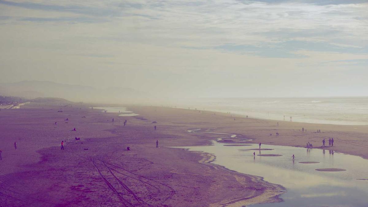 大连音乐节lmf是什么意思