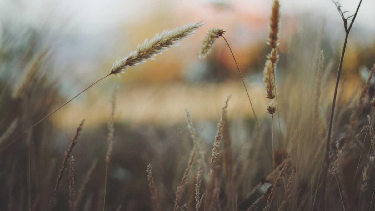 咸宁市公共资源交易中心内设机构