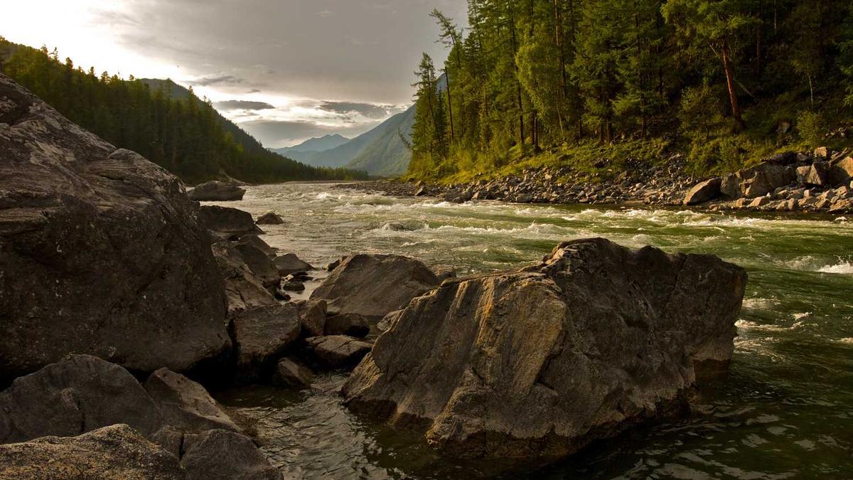 山姆为什么不在青岛开了