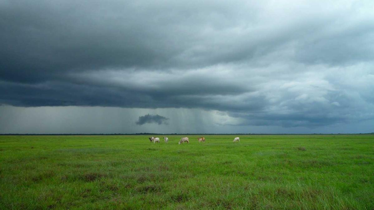 海南岛儋州市介绍