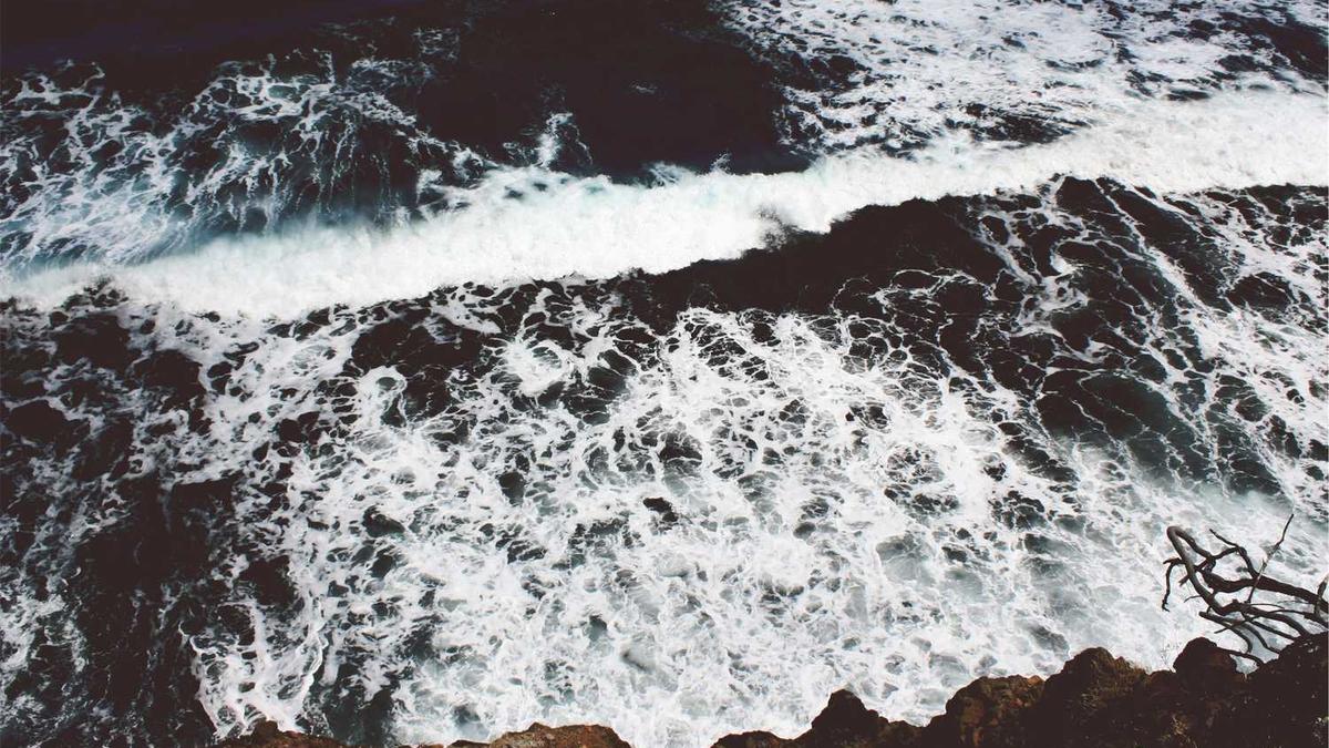 打响了武装反抗国民党反动统治第一枪的事件是( )