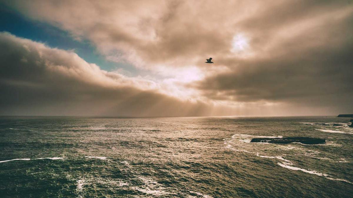 通化到沈阳的高铁车票