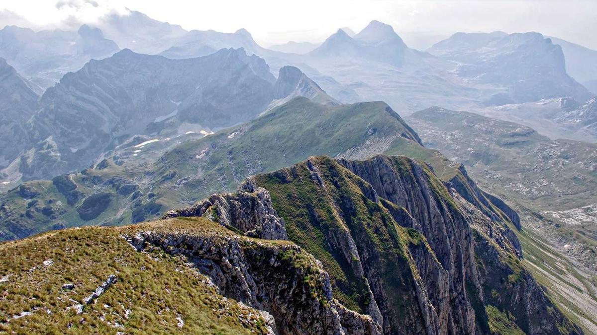 有什么关于爱心的名人事例?