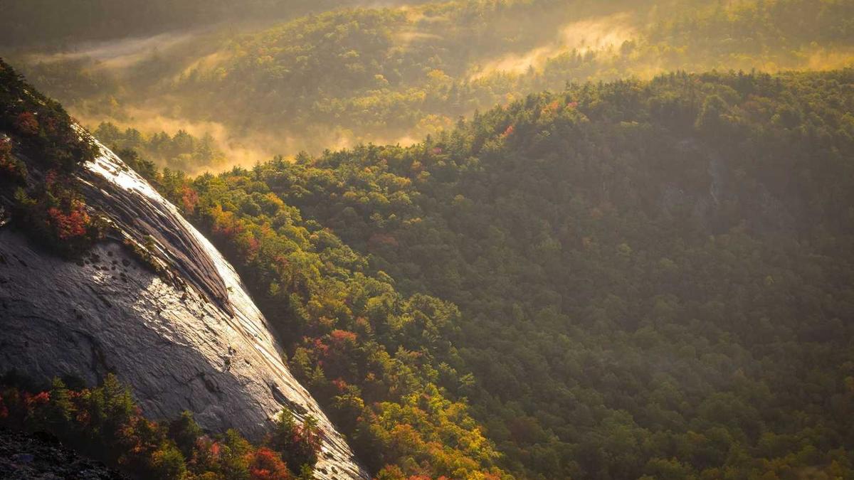 寒潮蓝色预警信号代表的意思