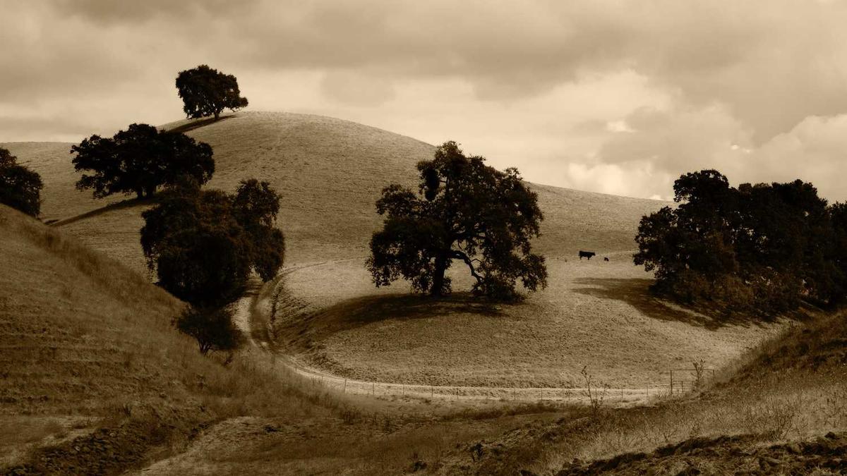 万宁市归哪个市管辖