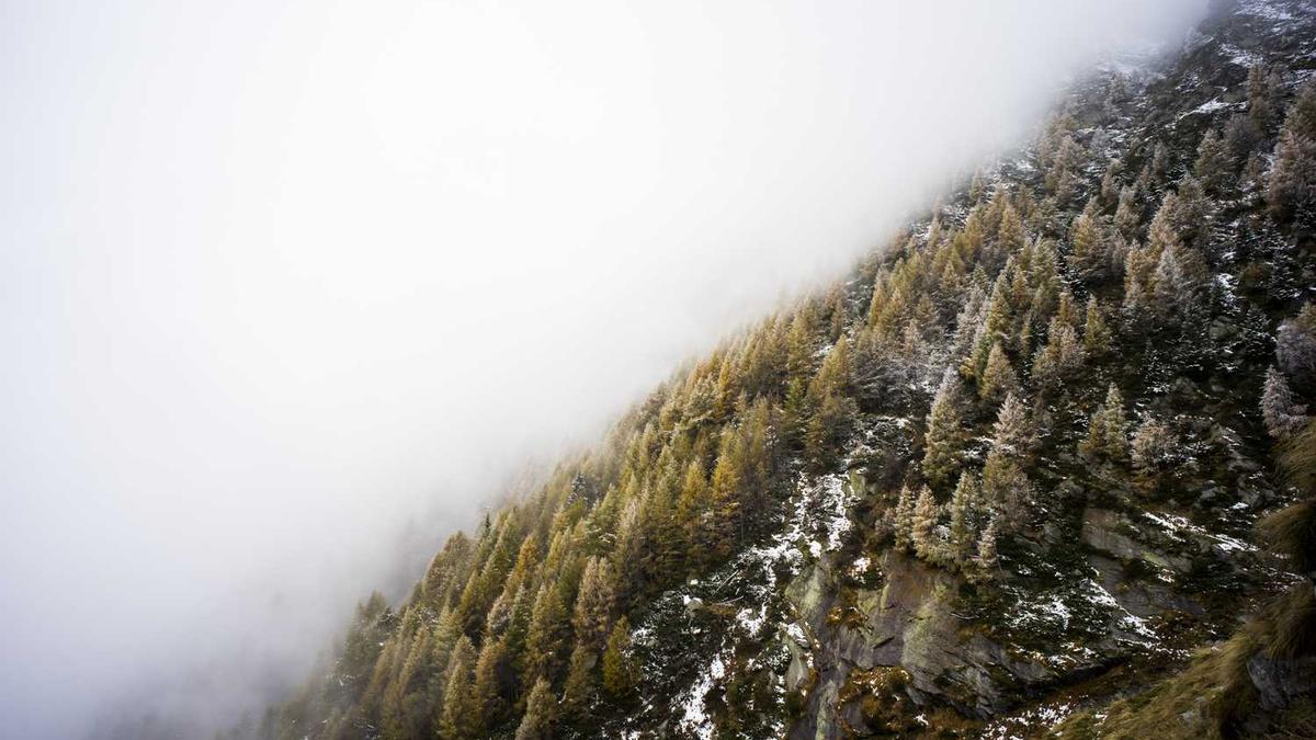 台州市气象局机构概况