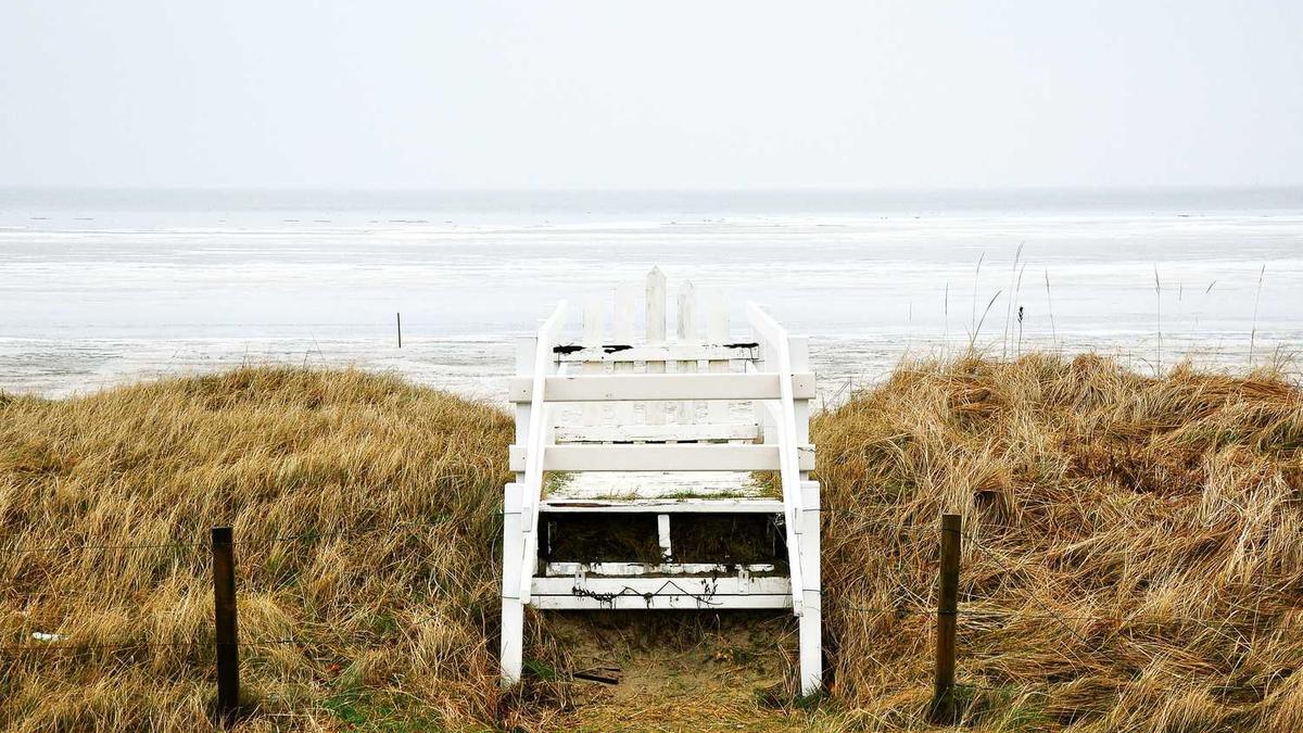 聊城市有几个县?