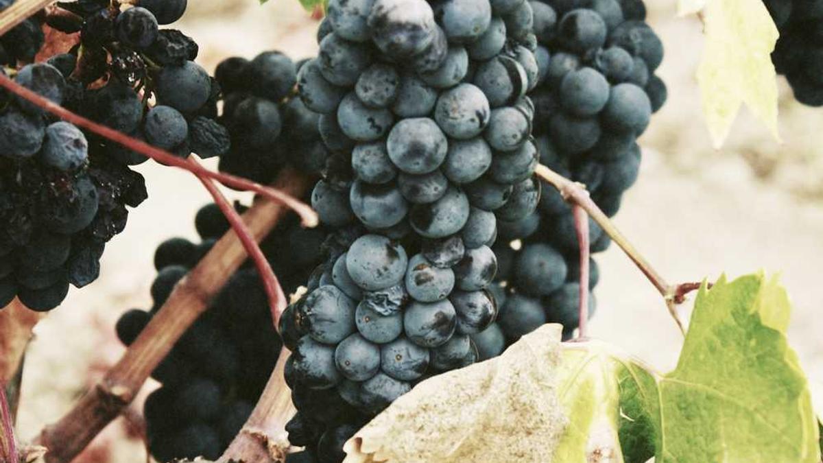 58同城怎么下载简历_58同城下载简历教程