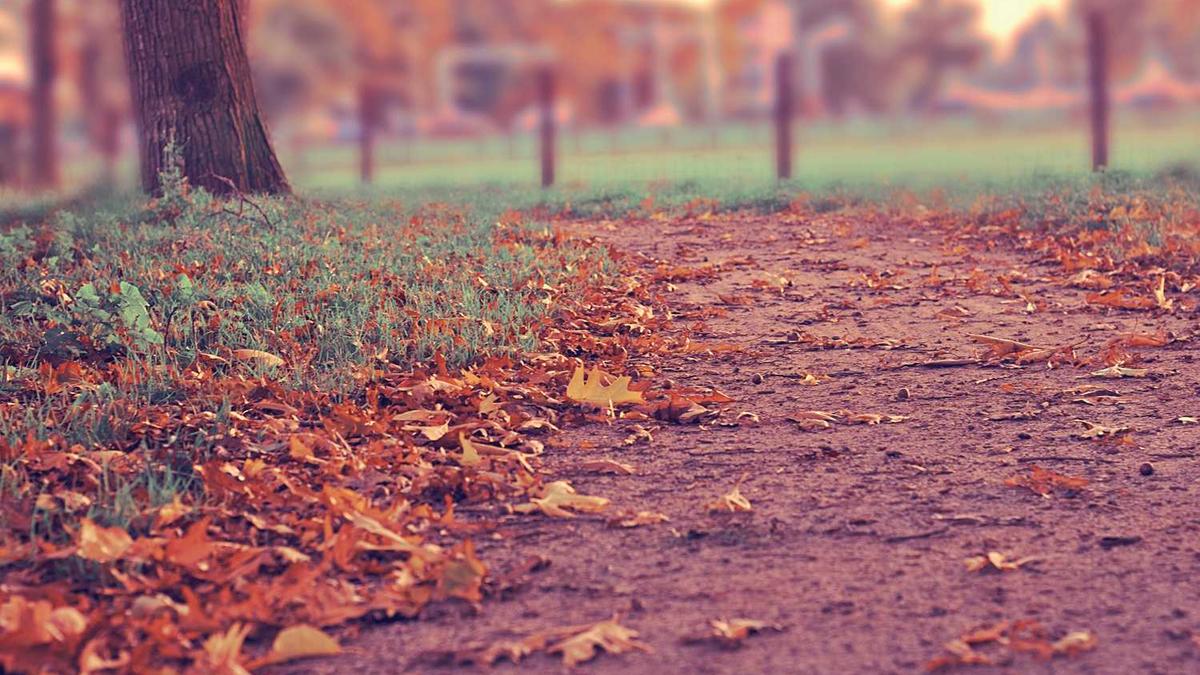 遂宁体育馆和绵阳体育馆哪个大