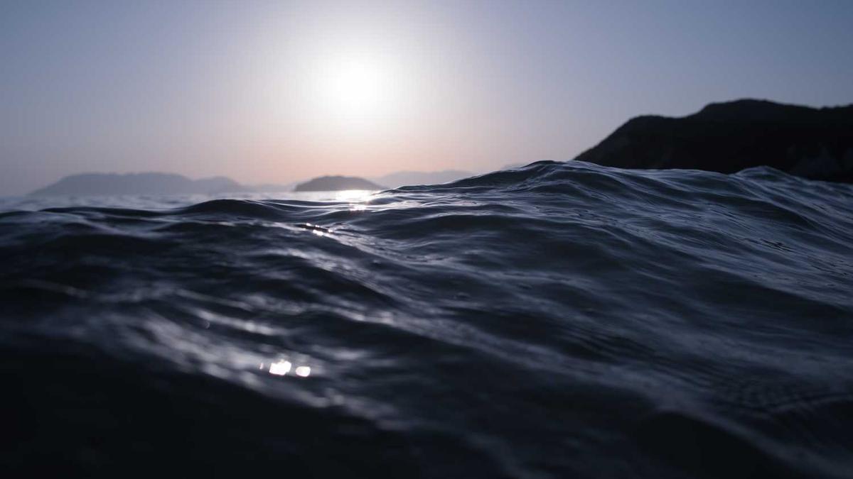 “伯俊”很忙,一天内远赴两地赋能零售业变革