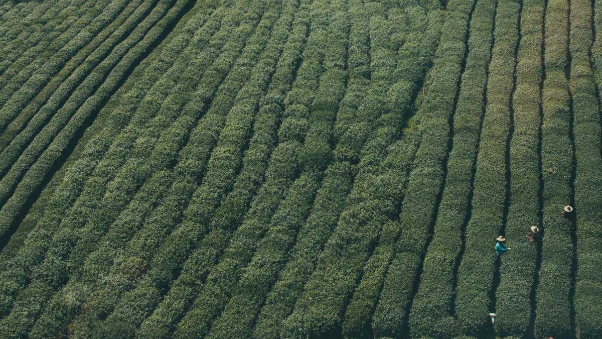 光谷马拉松补给站在哪里