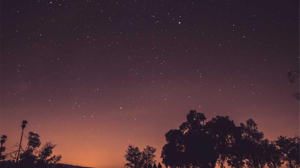 中国女企业家协会理事会组成名单