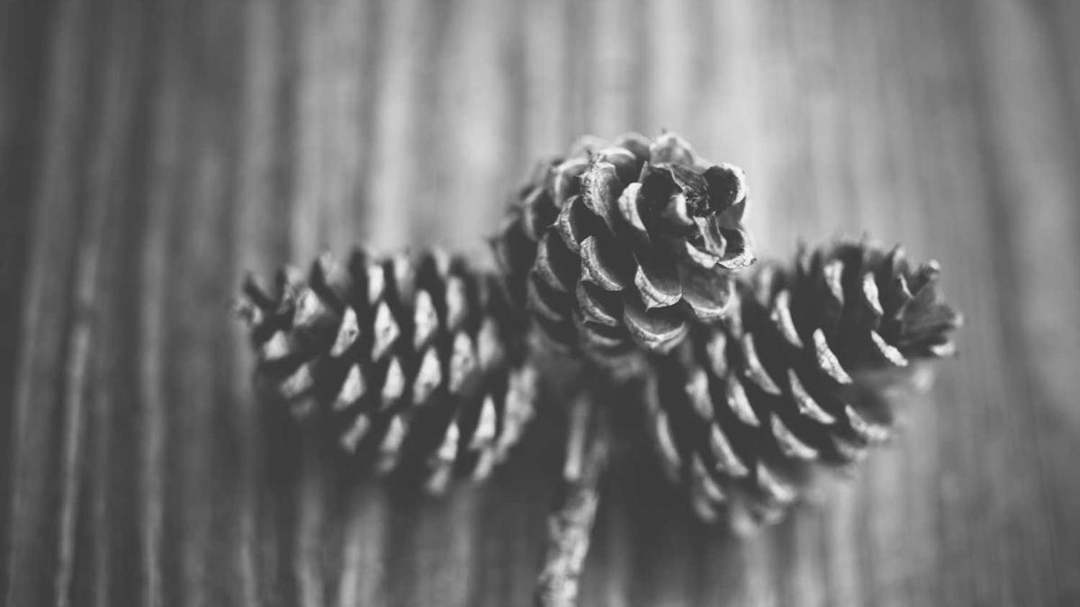 山东菏泽天气预报,我想知道当天天气,穿衣潮流