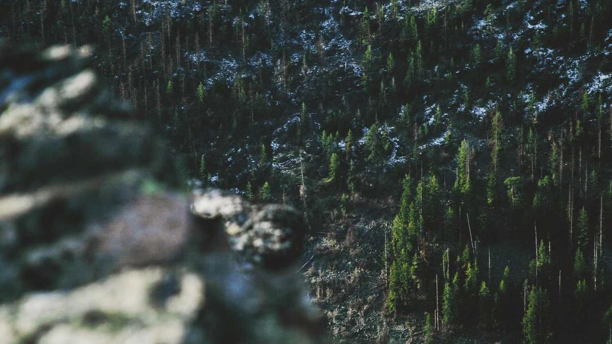 从崇左怎么去德天瀑布?