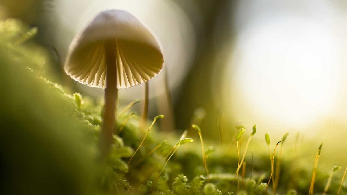 求南阳旅游景点排名前十,哪些比较值得去?