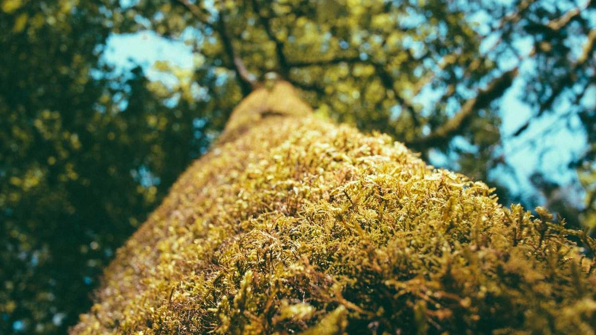 郴州天气预报15天