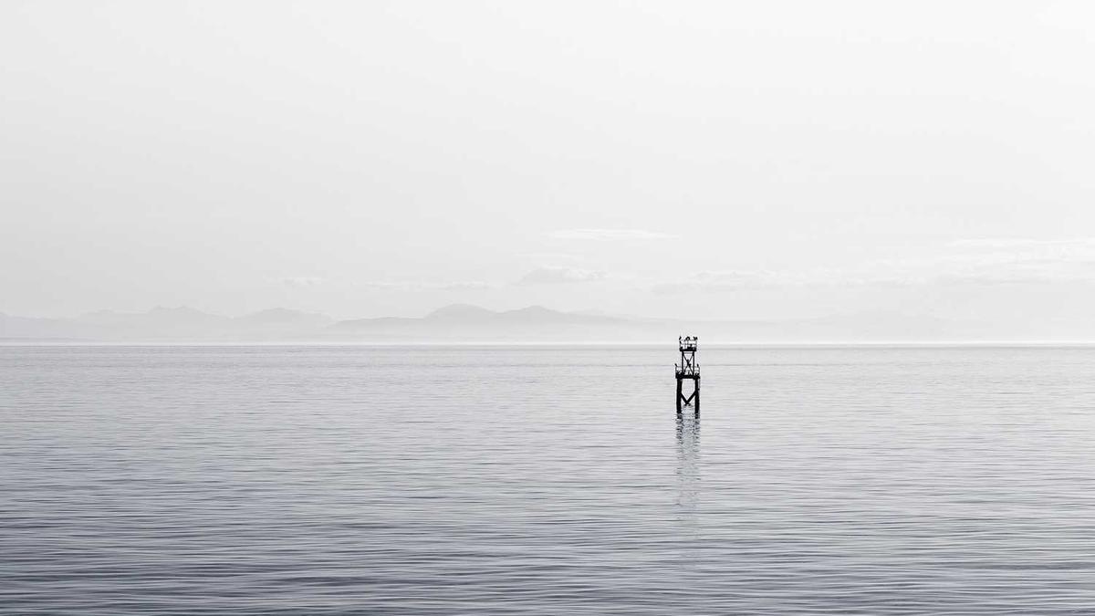 韶关特产十大特产