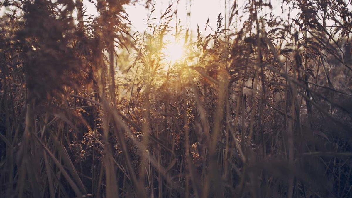 海南省经济技术学校怎么样,好就业吗?