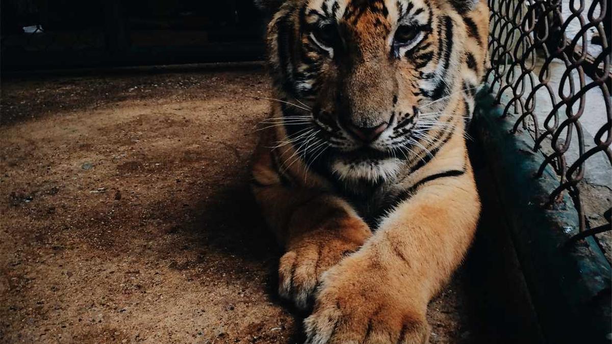 鄂州市最繁华的街道,where?