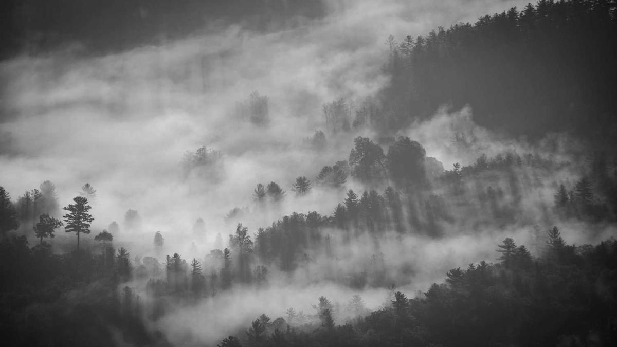 现在广东省湛江市,市叫什么名字?