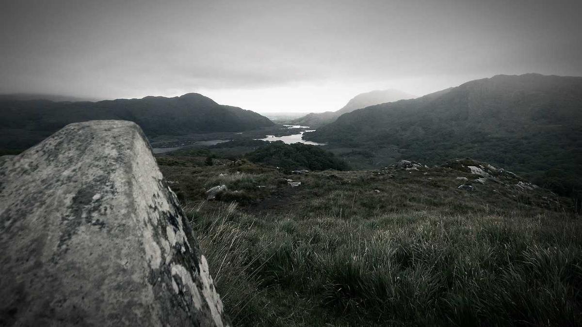 袁店乡:优化生态环境 美丽乡村振兴