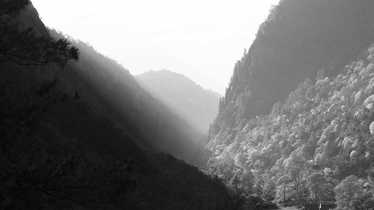 奇瑞4s店搞的星途揽月汽车免费1年使用权的活动会有什么套路?