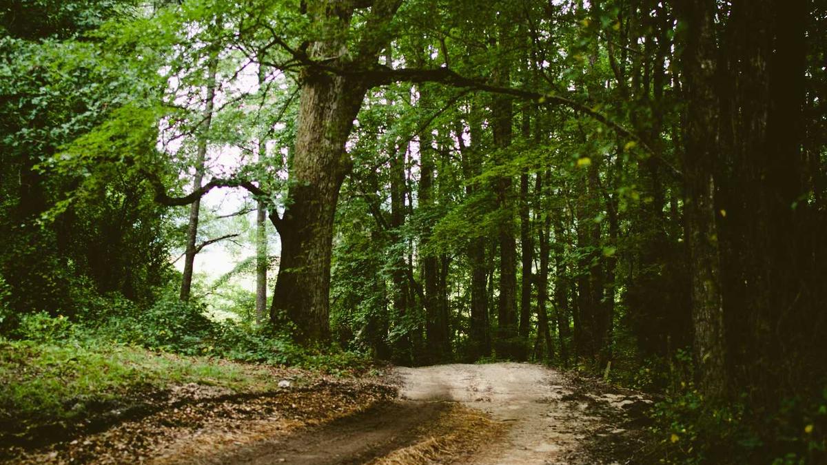 吉林省委书记、省长这样部署推进新型工业化,坚持以“464”格局为聚焦点...