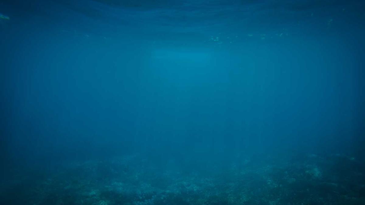 广东潮汕五日游旅游攻略 潮汕自由行旅游5日多少钱