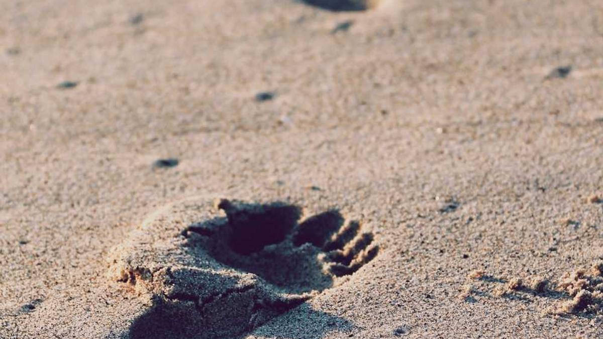 所有书法家的名字