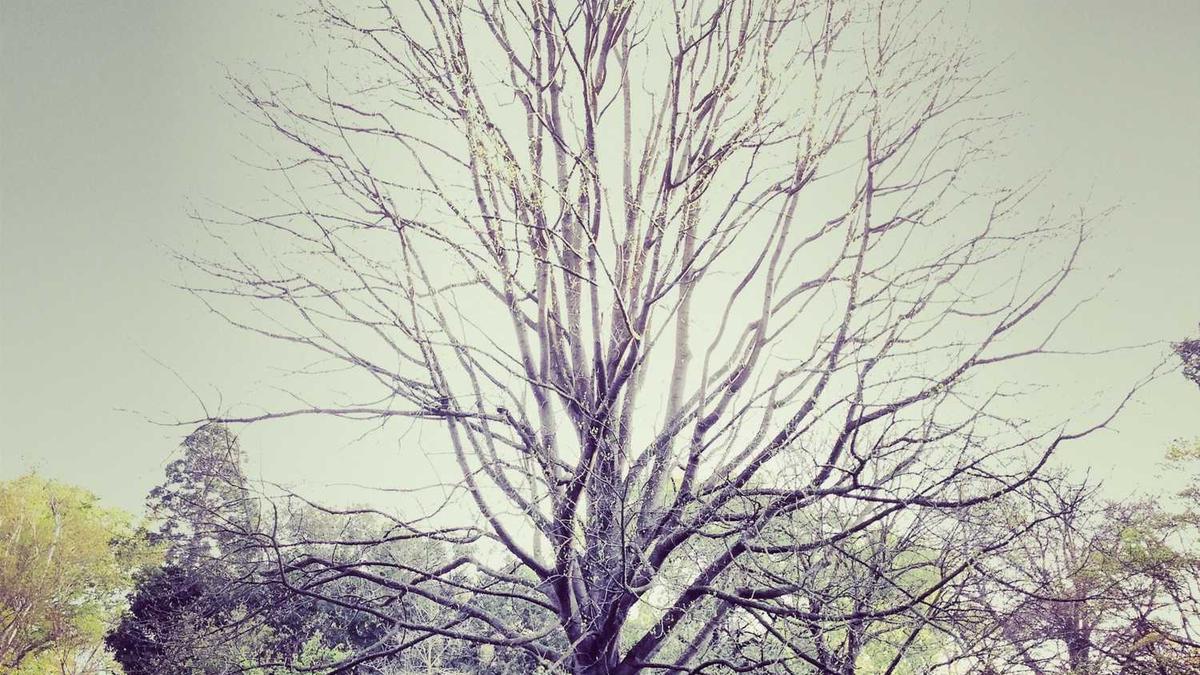 消防工作表态发言稿