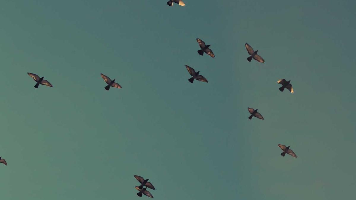 株洲市十大景点介绍(株洲景点)