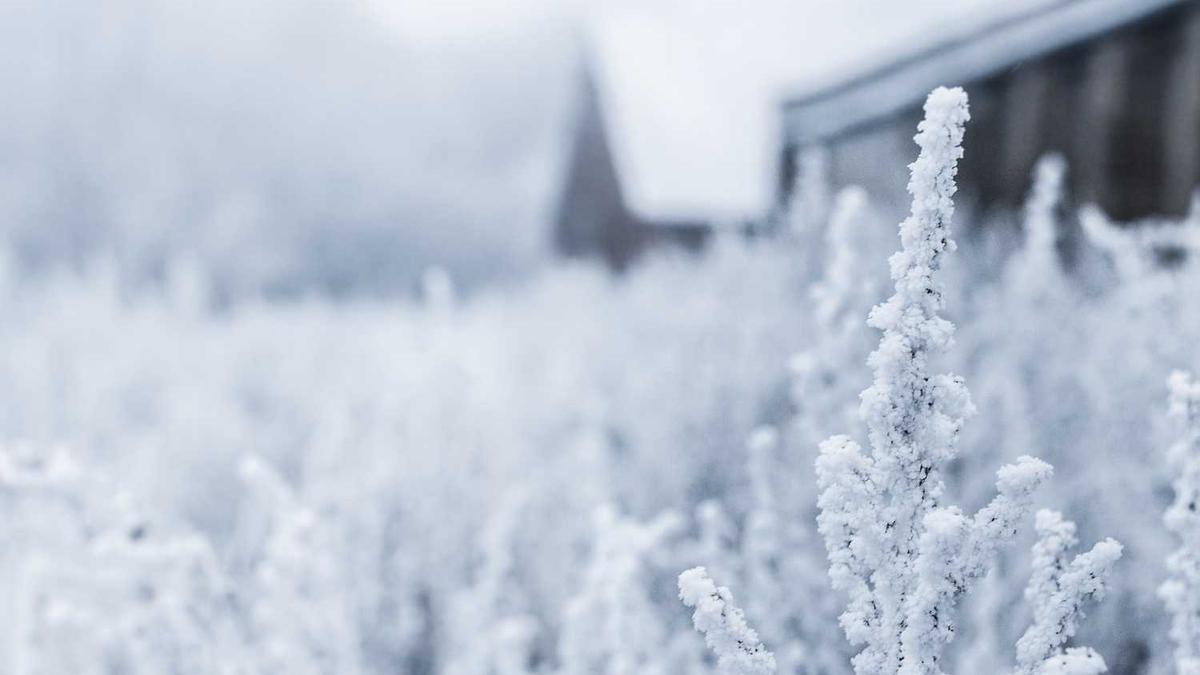 佛山楼市规划:买房别急,桂城又出大招,平洲很关键